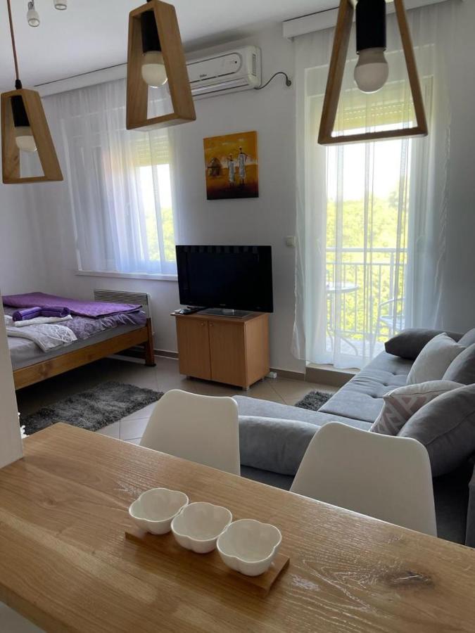 Apartman Lukic Banja Koviljača Eksteriør bilde
